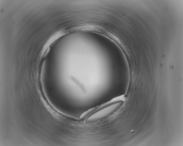 X0000081491426200701262042