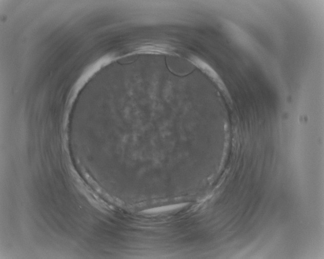 X0000081491427200701262042