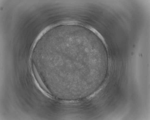 X0000081491429200701262042