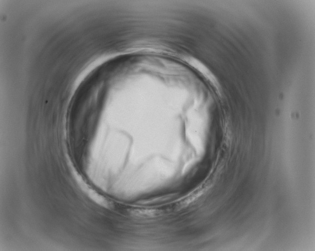 X0000081491431200701262042