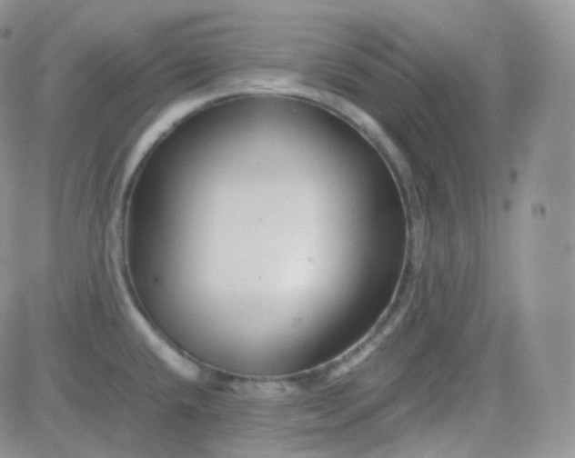 X0000081491432200701262042