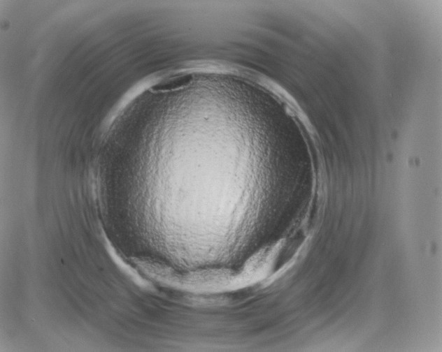 X0000081491433200701262042