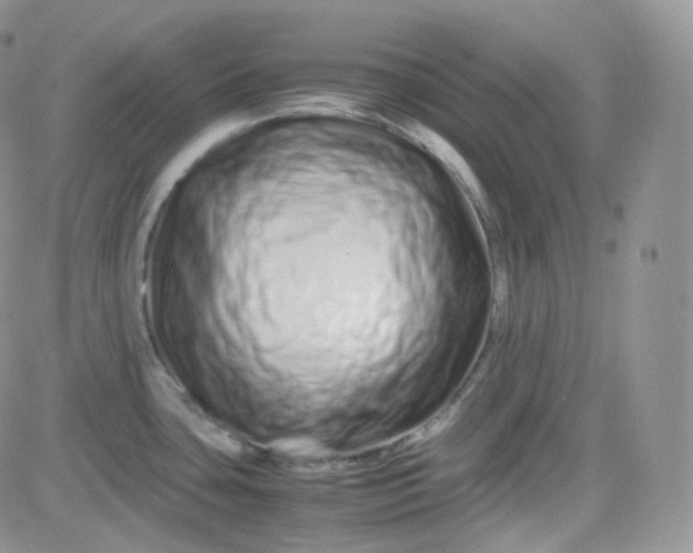 X0000081491435200701262042