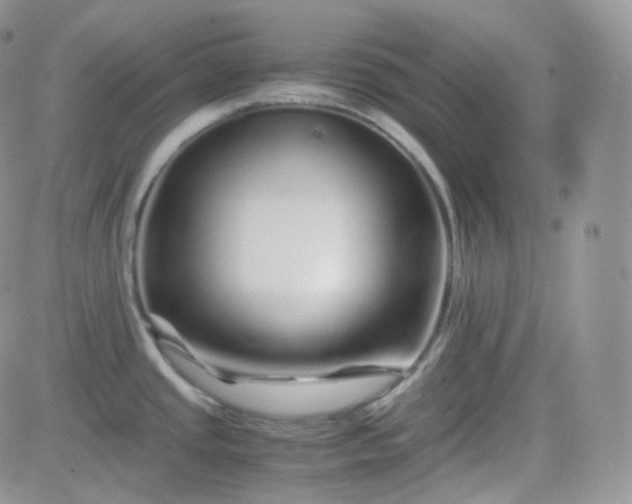 X0000081491437200701262042