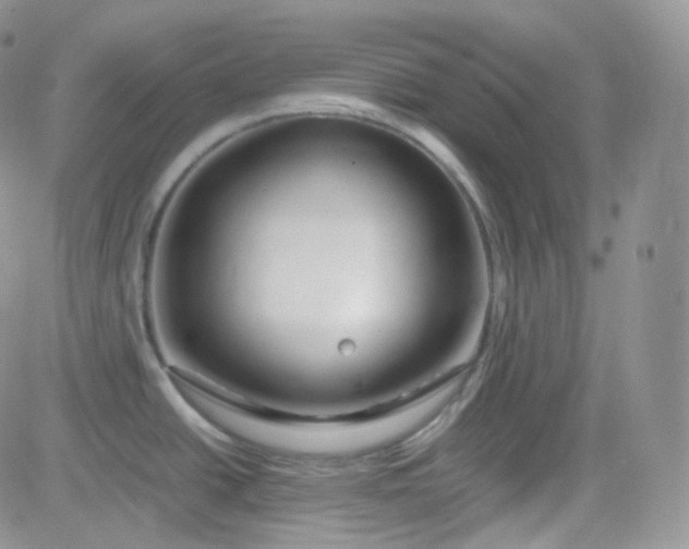 X0000081491438200701262042