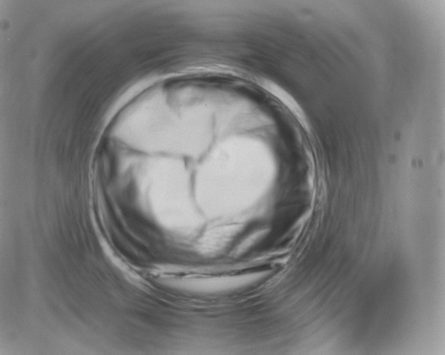 X0000081491439200701262042