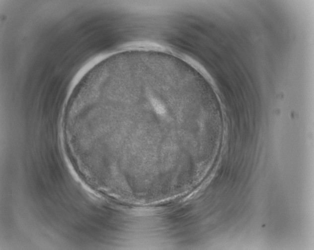 X0000081491440200701262042