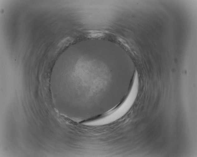 X0000081491441200701262042