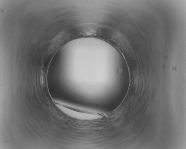 X0000081491442200701262042