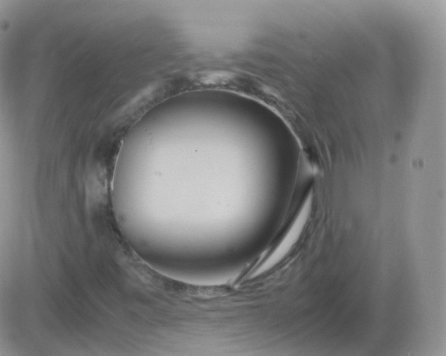 X0000081491443200701262042