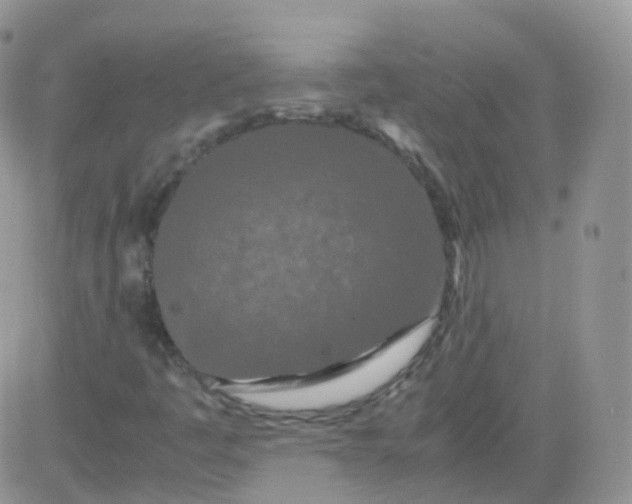 X0000081491445200701262042