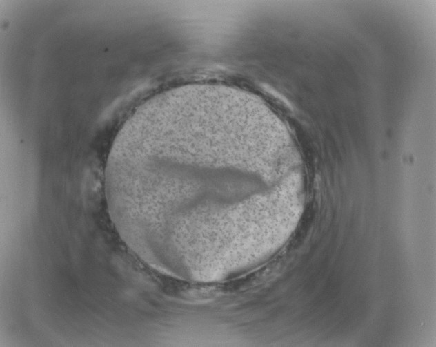 X0000081491447200701262042