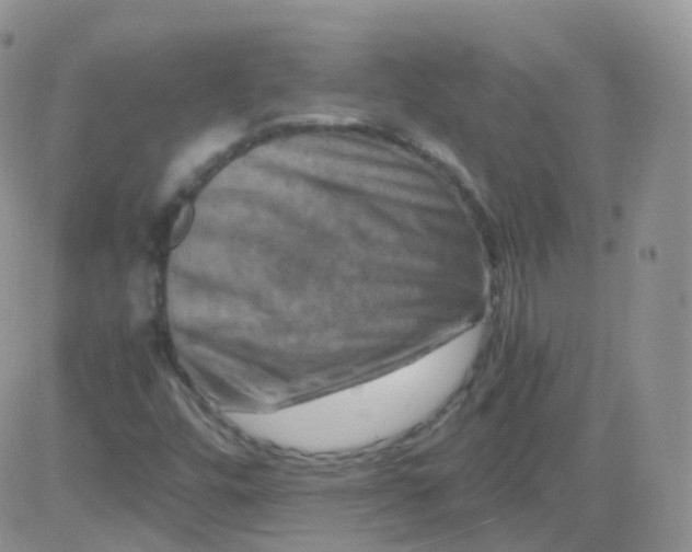 X0000081491448200701262042