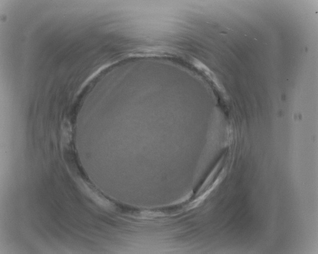 X0000081491449200701262042