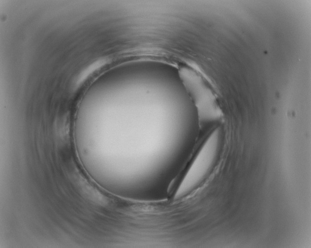 X0000081491450200701262042