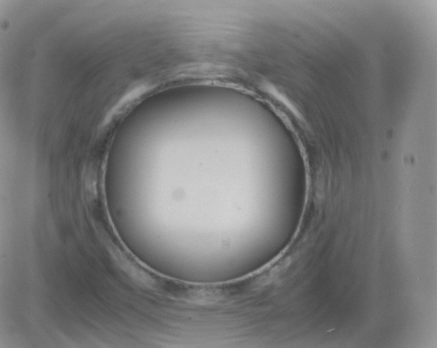 X0000081491451200701262042