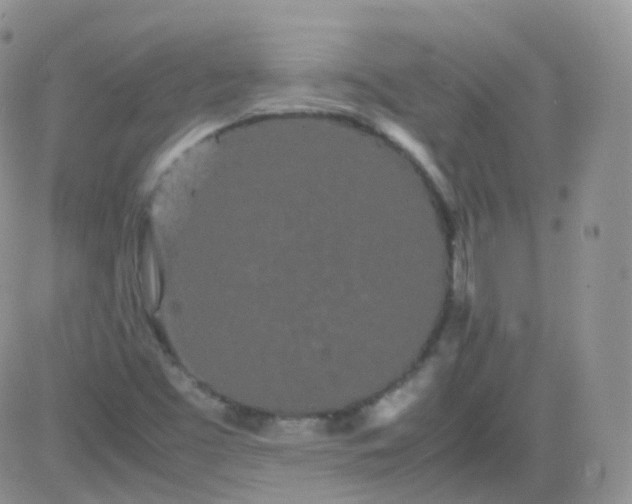 X0000081491453200701262041