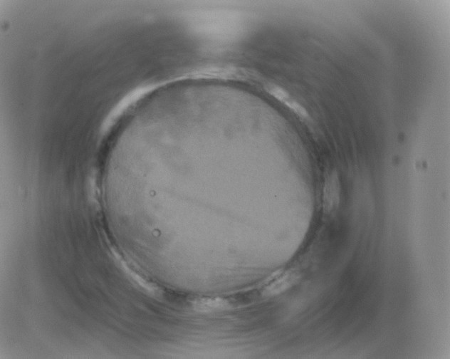 X0000081491454200701262041