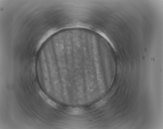 X0000081491460200701262041