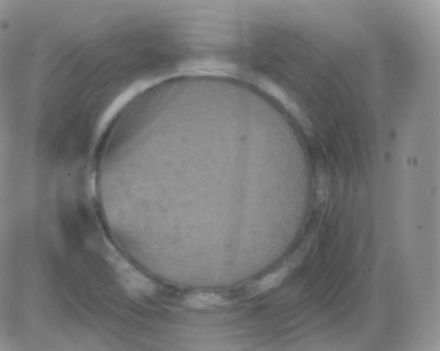 X0000081491462200701262041