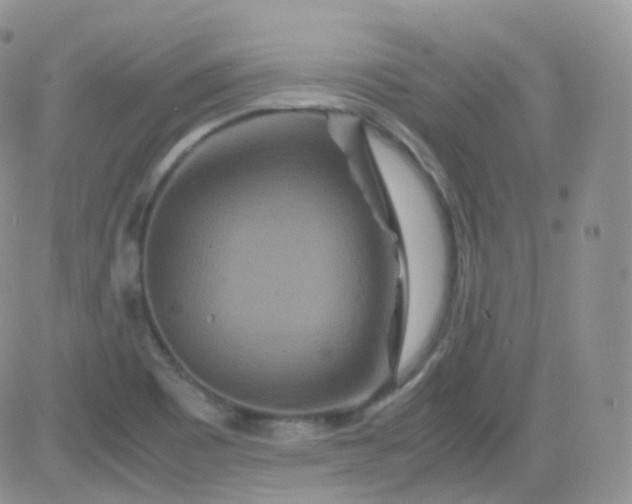 X0000081491465200701262041