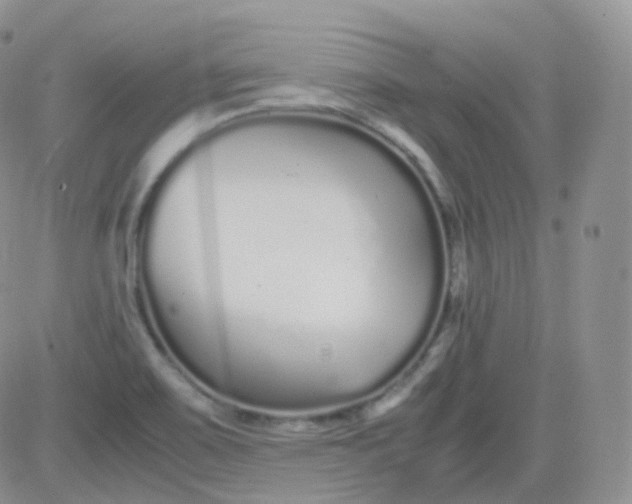 X0000081491467200701262041