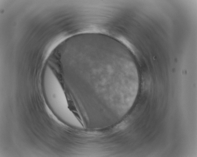 X0000081491468200701262041