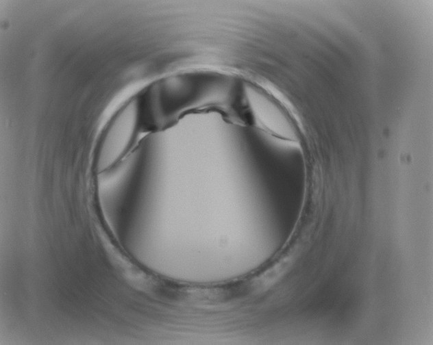 X0000081491469200701262041