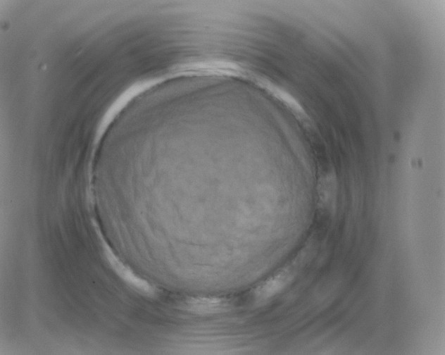 X0000081491470200701262041