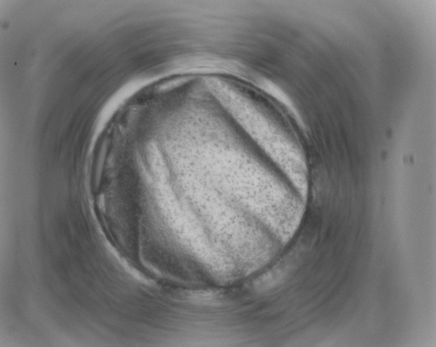 X0000081491472200701262041