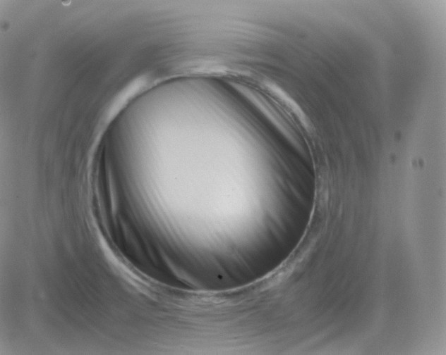 X0000081491475200701262041