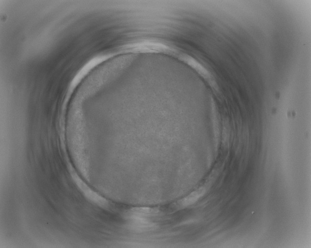 X0000081491478200701262041