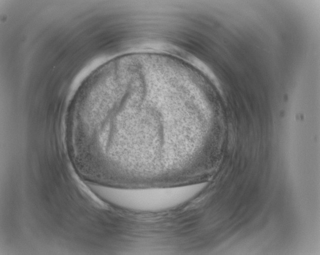 X0000081491480200701262041