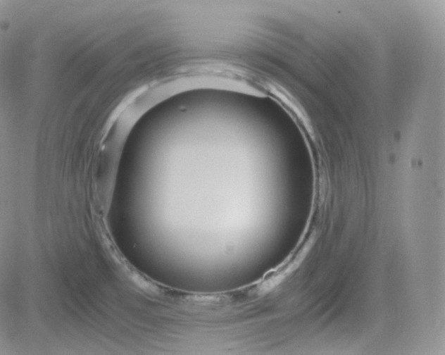 X0000081491481200701262041