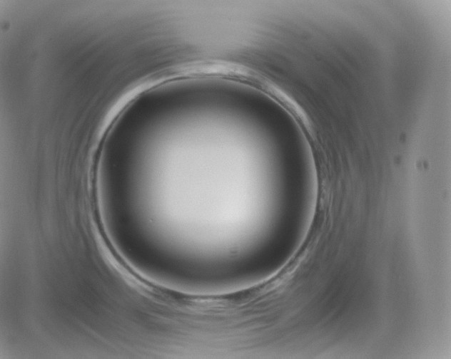 X0000081491483200701262041