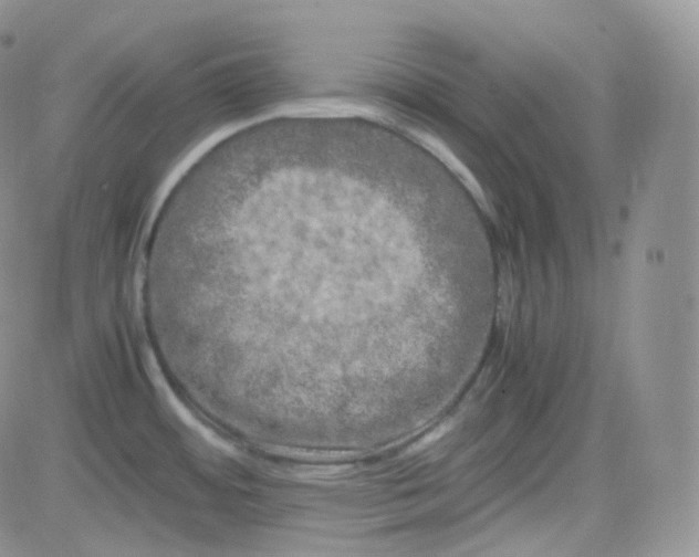 X0000081491484200701262041