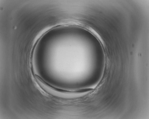 X0000081491485200701262041