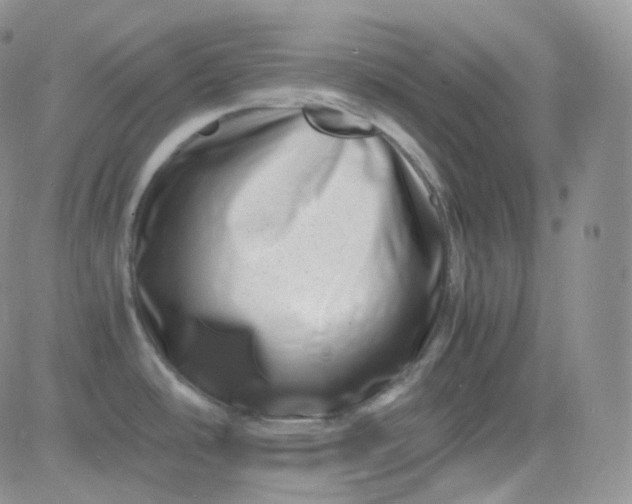 X0000081491486200701262041