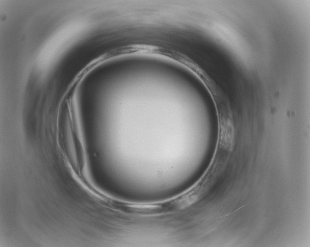 X0000081491487200701262041