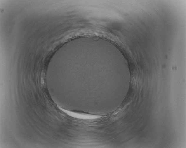 X0000081491490200701262040