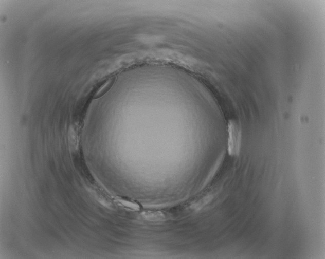 X0000081491491200701262040