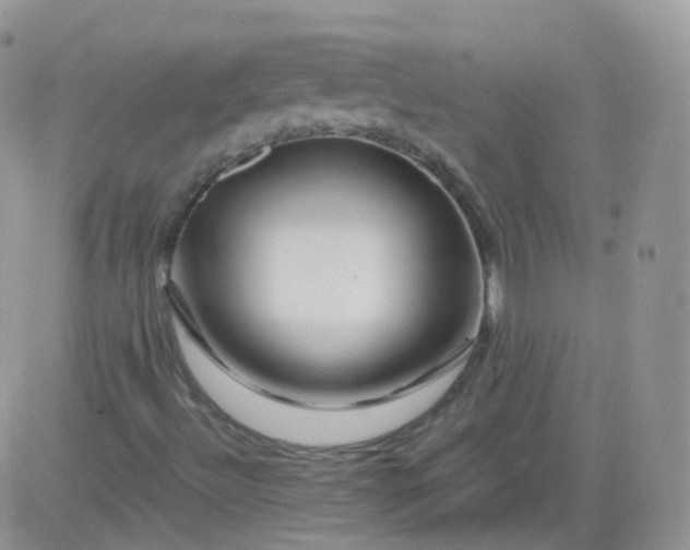 X0000081491492200701262040