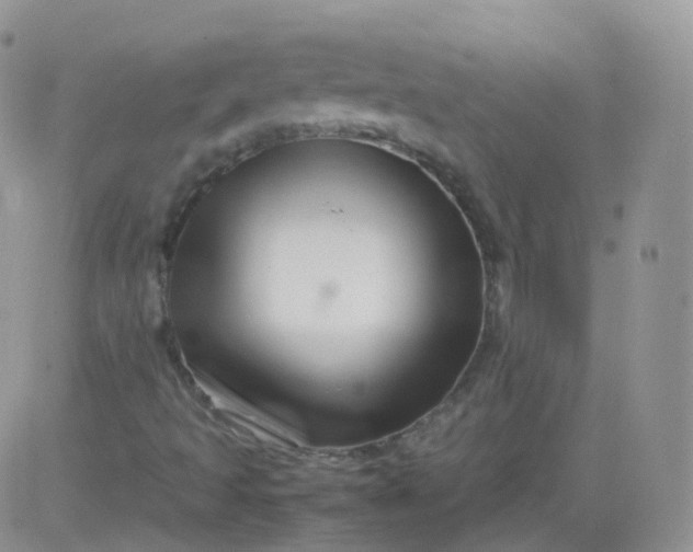 X0000081491493200701262040