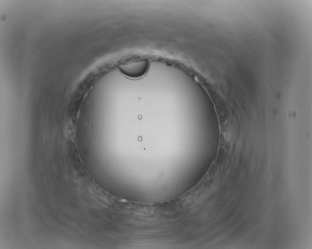 X0000081491495200701262040