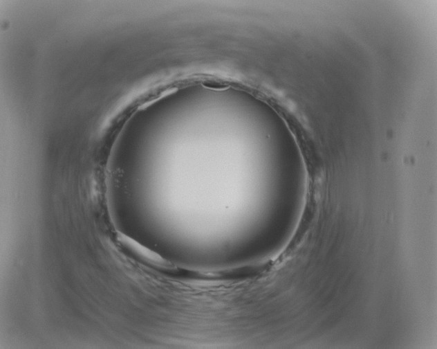 X0000081491496200701262040