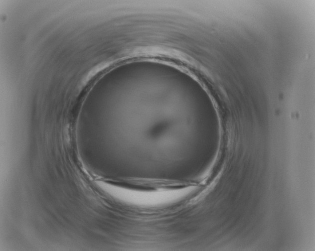 X0000081491497200701262040