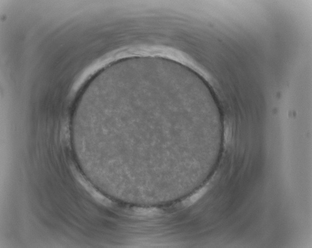 X0000081491498200701262040