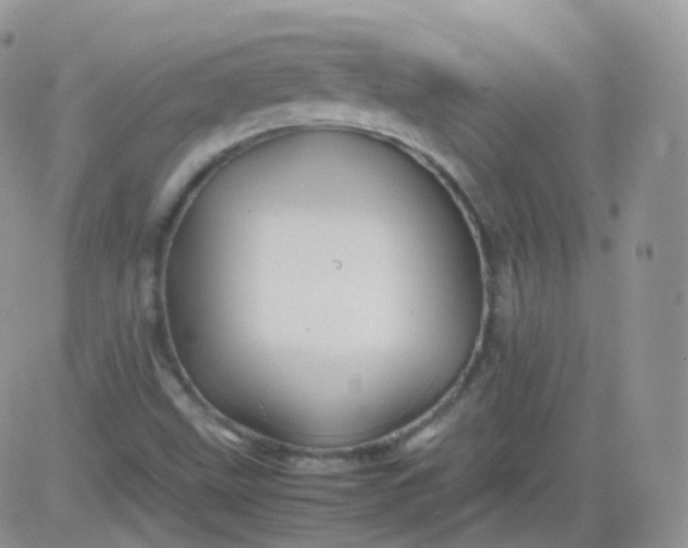 X0000081491499200701262040