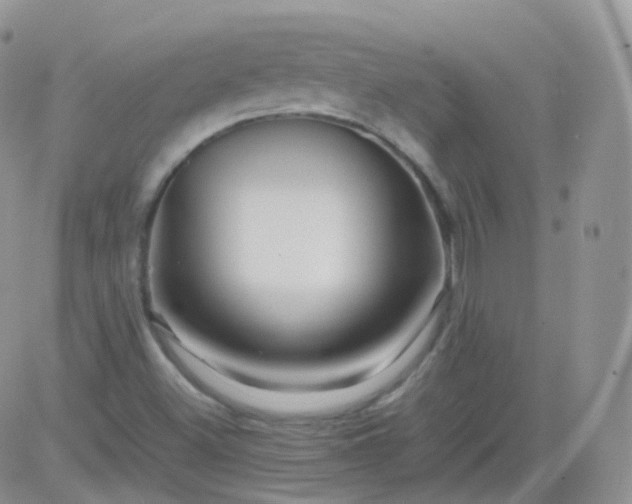 X0000081491500200701262040