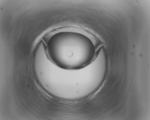 X0000081491502200701262040